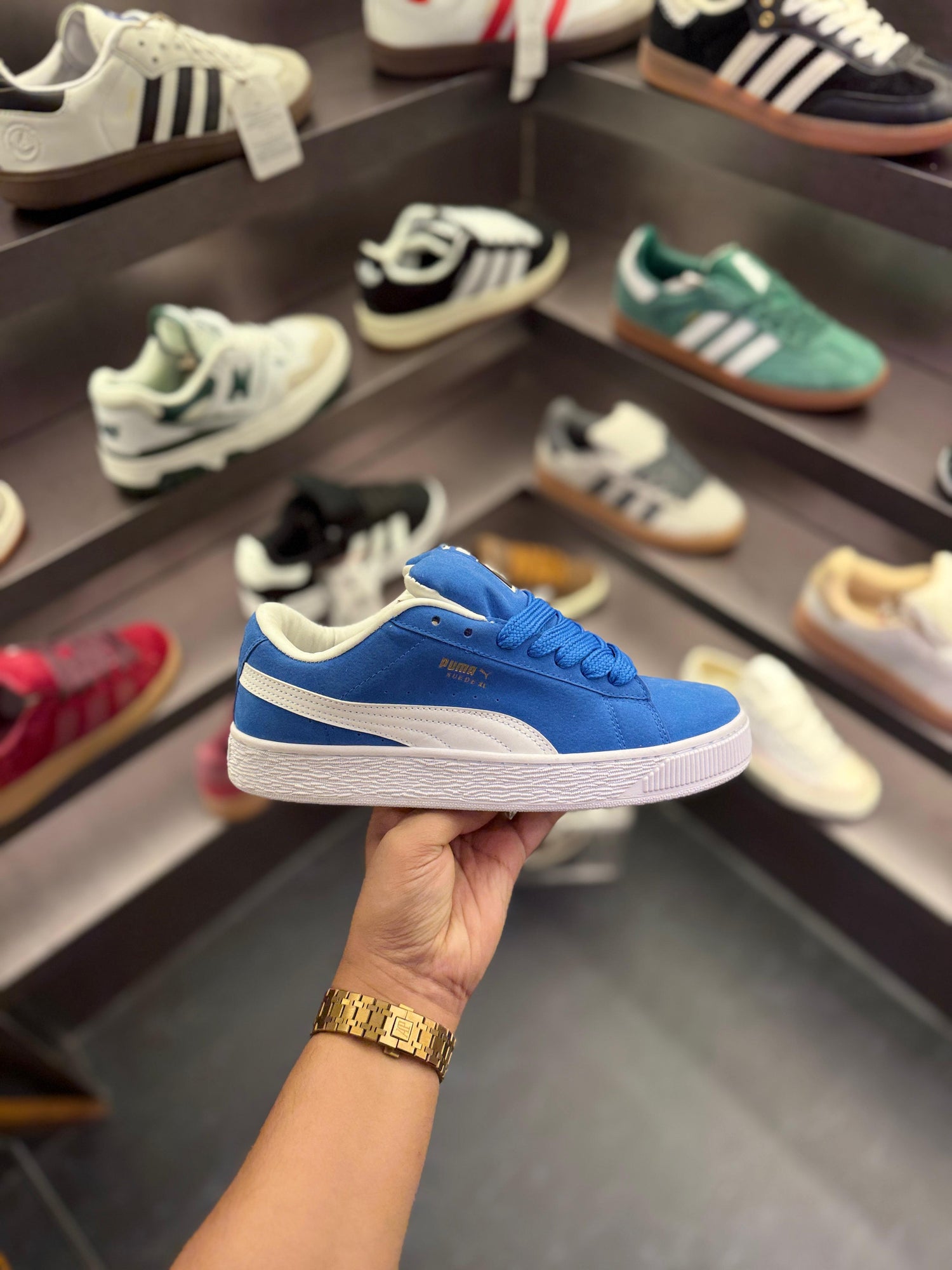 Premium Shoes