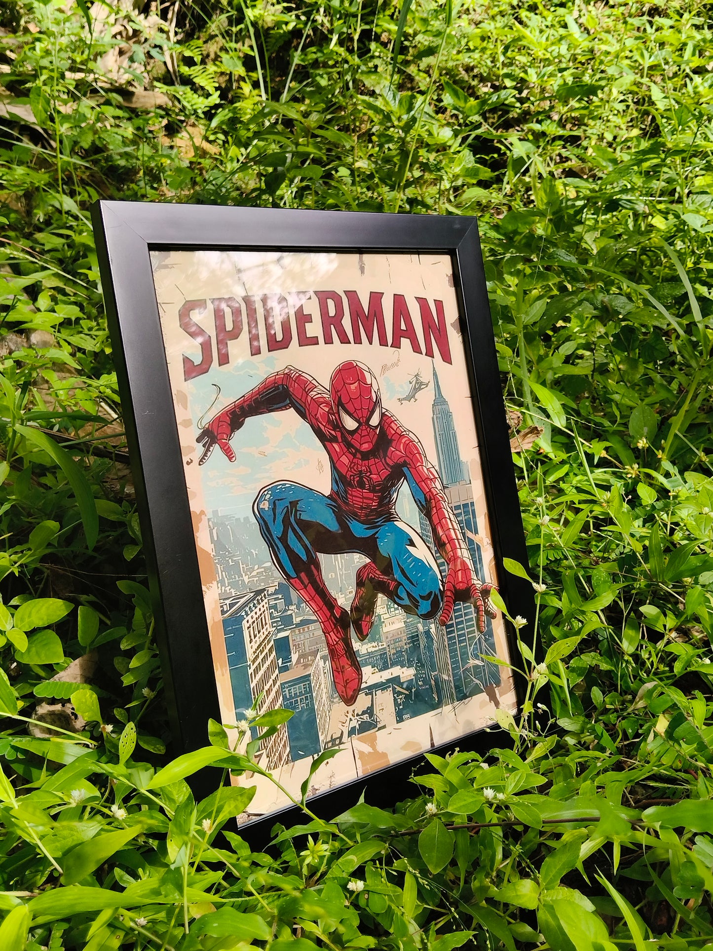 SPIDER MAN Frame